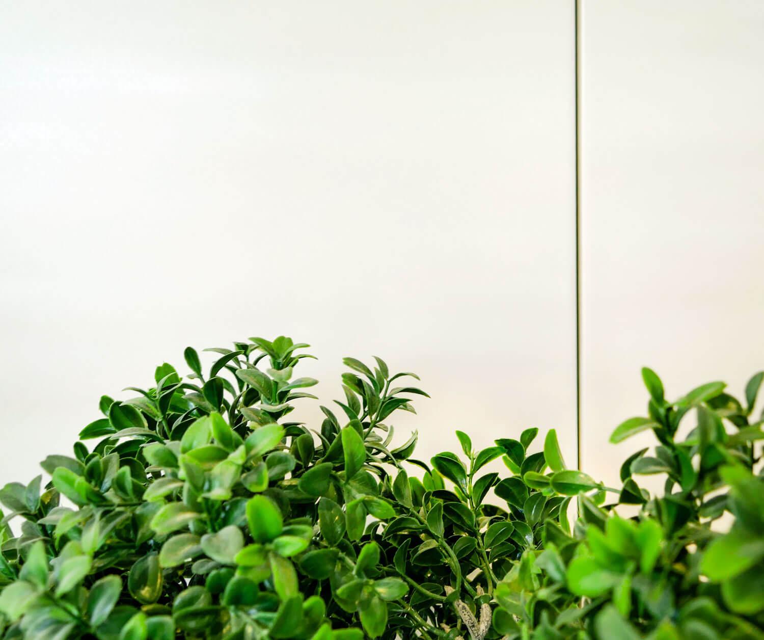 Matte Oberfläche Fliesen weiß