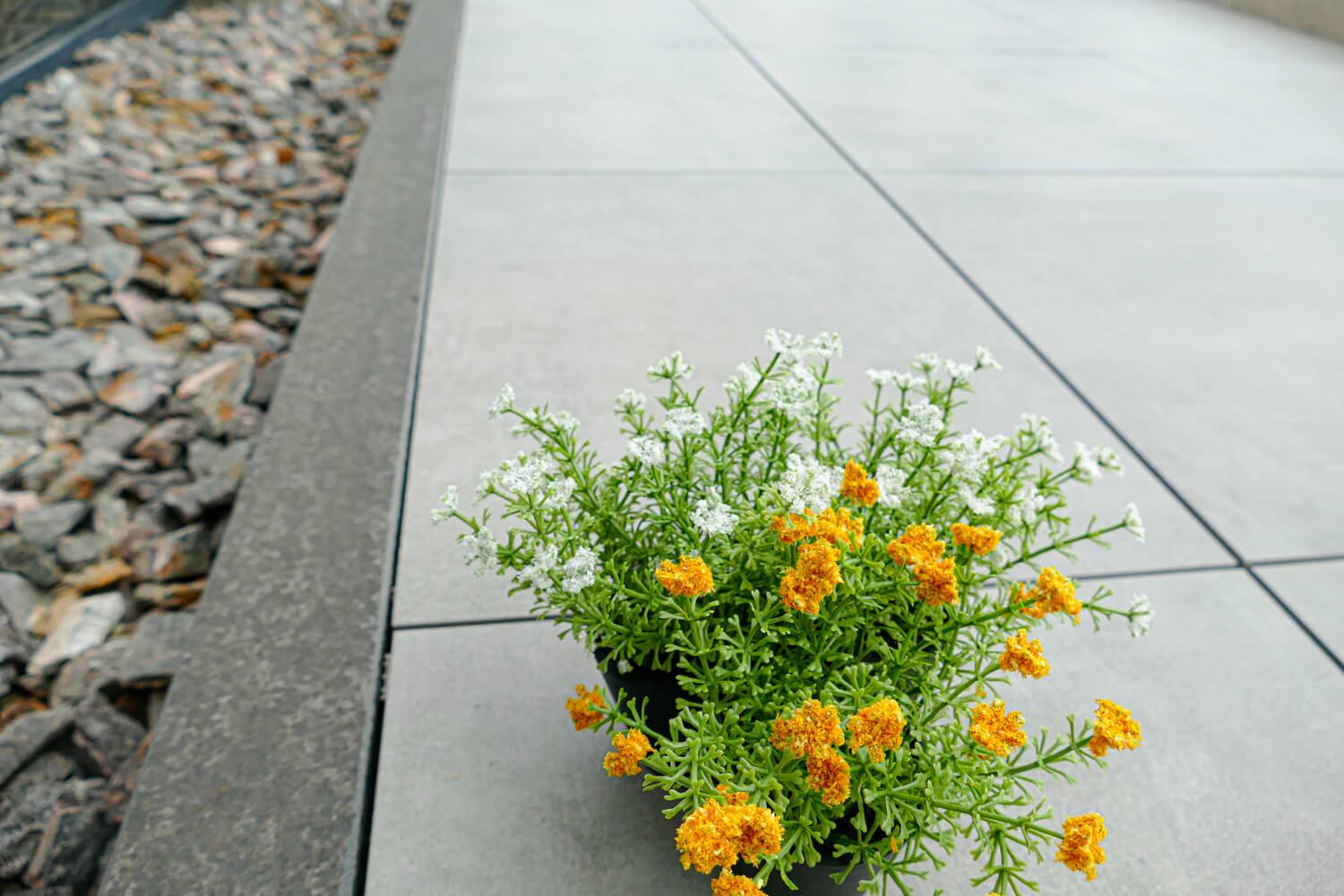 Rasenkantenstein Basalt