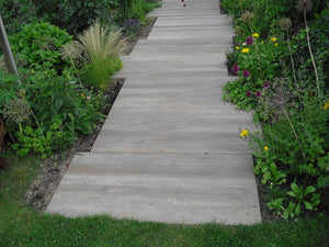 Gartenweg Emperor® Walnut