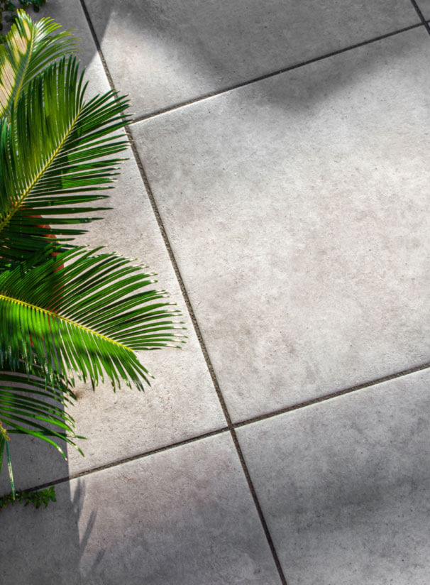 Betonoptikplatten mit einer Pflanze